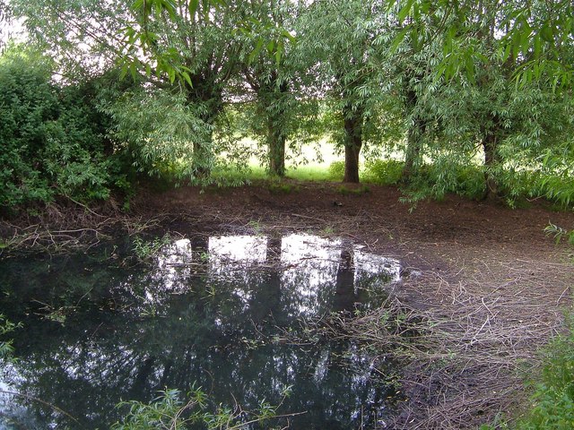 Pond in Solomon's Hollow