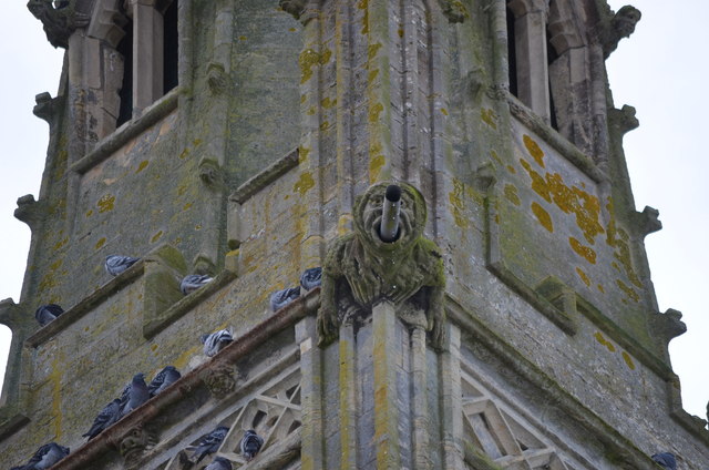 Gargoyle, St Peter's church, Claypole