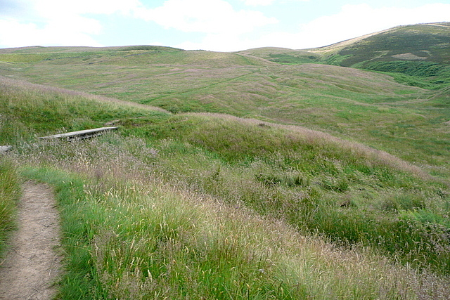 Bridge on Wild Moor