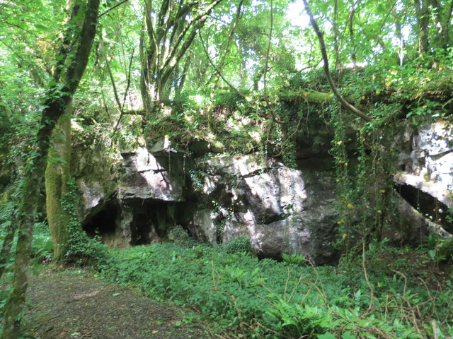 Half Cave opposite Joint Mitnor Cave, Higher Kiln Quarry