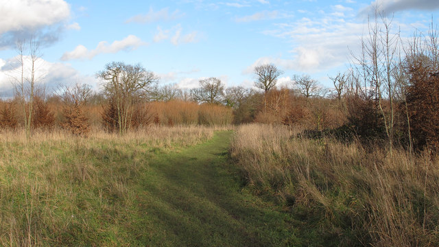 Path to lakes on a sunny winter day