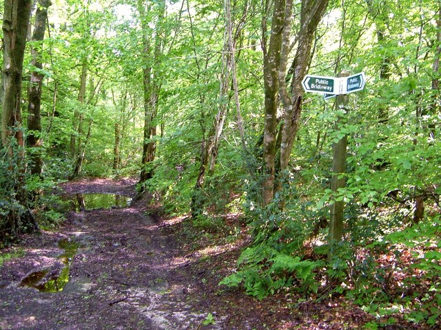 Bridleway junction, Westgate Hill