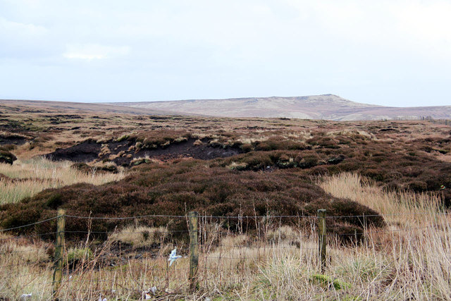 View over White Moss