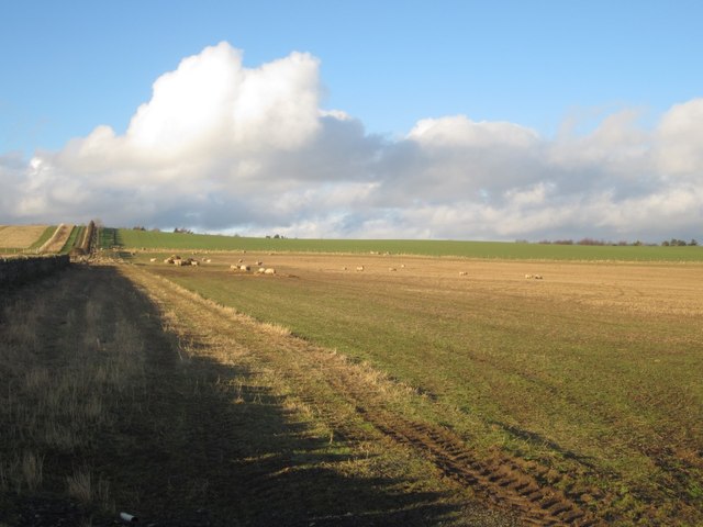 Arable land near The Crag