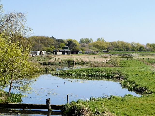 Martin Mere WWT Centre, View from Ron Barker Hide