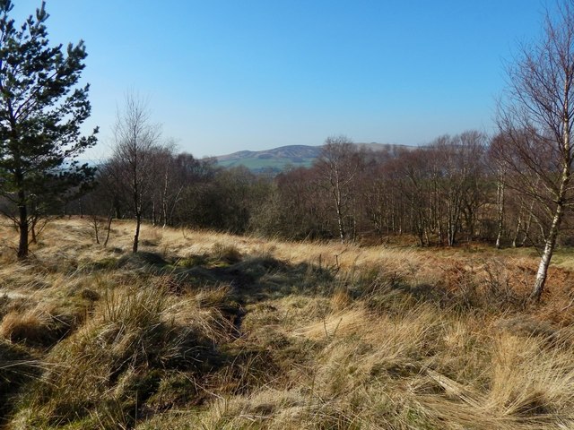 Path from Pappert Hill