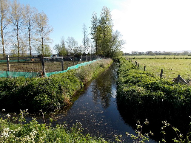 Rhyne near Moorview Farm north of Yatton