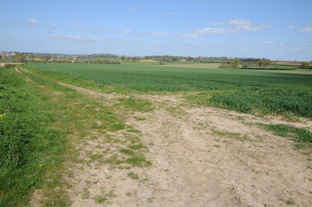 Arable land near Shepton Beauchamp