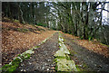 SX7878 : Bovey Tracey: Haytor Tramway in Yarner Woods by Martin Bodman