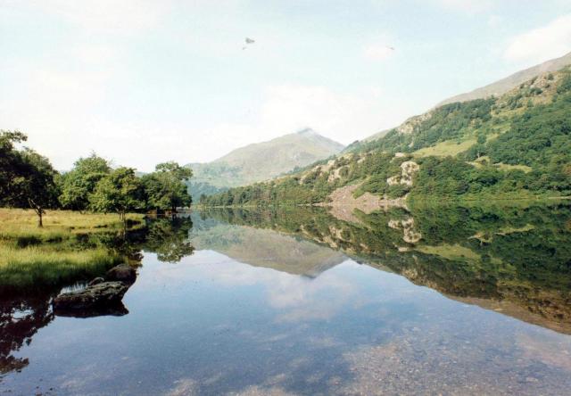 Llyn Gwynant