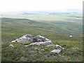 NT0957 : Sandstone outcrops, West Cairn Hill. by Richard Webb