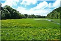 SX7961 : Water meadow beside Dartington driveway by Richard Knights