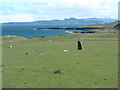  : Standing stone by Alan Stewart