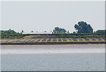  : High Corner Foulness Island by Glyn Baker