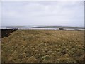 ND4696 : View over field towards the first 3 Churchill Barriers by s allison