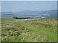  : Southern Upland Way north-east of Blake Muir by Eileen Henderson