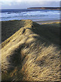 ND2169 : Sand dunes, Dunnet Bay, Caithness by Claire Pegrum