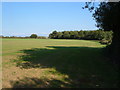  : Field on Blackdown Hills by Derek Harper