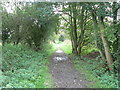 SU1978 : Trackbed of former Midland & SouthWestern Junction Railway by Brian Robert Marshall