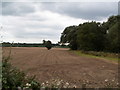 SE3453 : Farmland near Crimple Beck by Charles Joynson