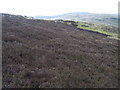 NS4674 : Moorland on the Slacks by Stephen Sweeney