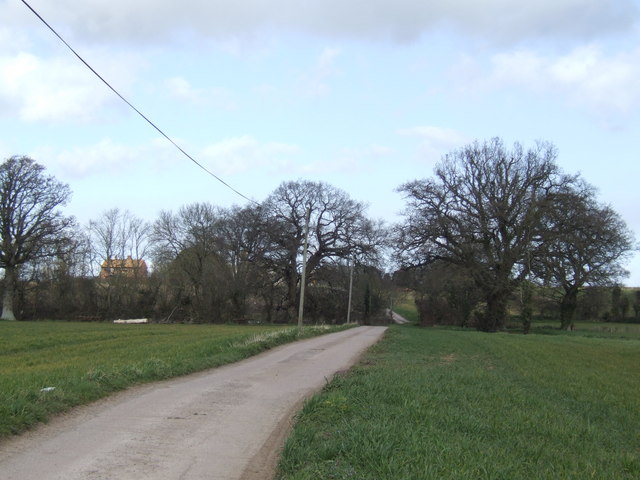 Farm lane to New Barn