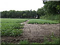  : Potato field at Spicer's Corner by Jonathan Billinger