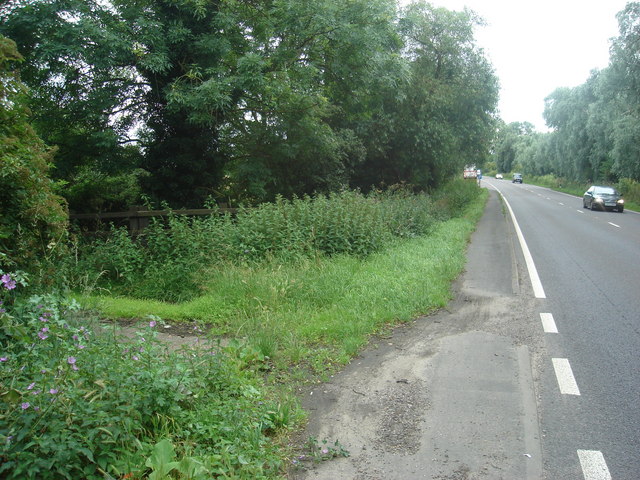 Overgrown public byway leaves the A10 south of Ely