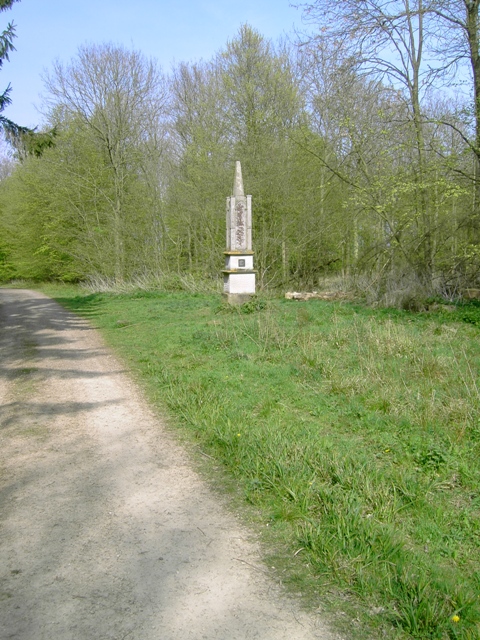 Obelisk In Chicksands Wood