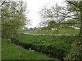 SJ8544 : Lyme Valley Parkway by Steve Lewin