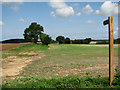 TG0134 : Bridleway leading north to Sharrington Road by Evelyn Simak