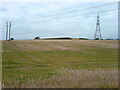 SK5262 : Pylon on farmland by James Hill