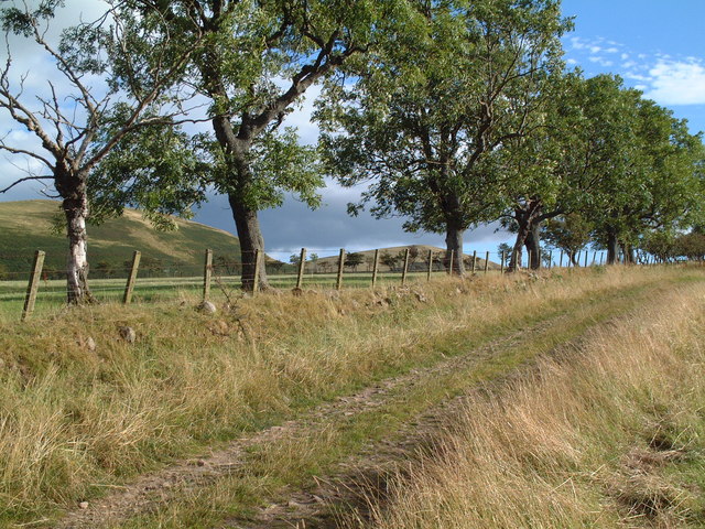 Track near Ingram