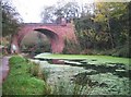 SU1383 : Swindon: Disused canal and dismantled railway by Nigel Cox