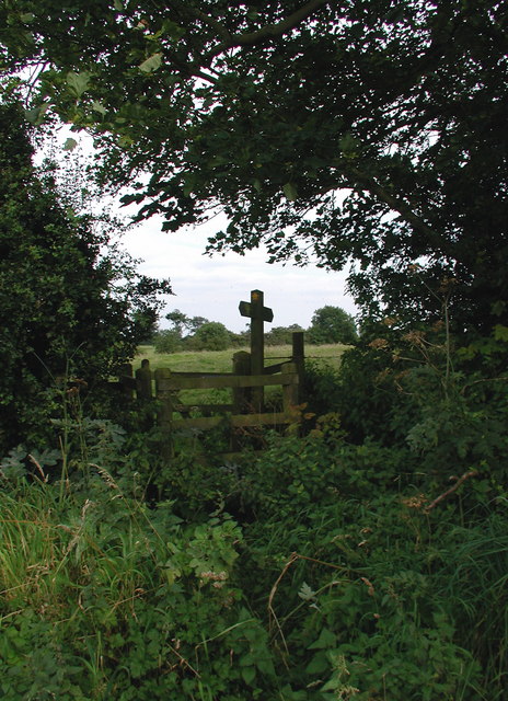 Weather Hill, Seaton