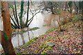 J3268 : The River Lagan in flood (1) by Albert Bridge