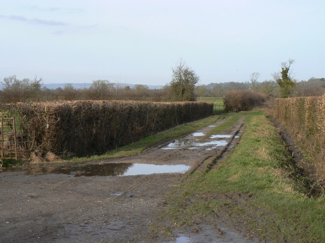 Green lane at Barton Lower Farm