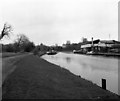 TQ1768 : River Thames near Raven's Ait by Dr Neil Clifton