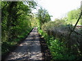 TR1357 : Small lane leading to Whitehall Farm by Nick Smith