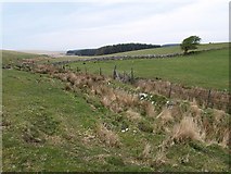  : Edge of Sprey Moor by Derek Harper