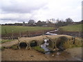 TM1740 : Footbridge by Pond Hall Farm by Chris Holifield