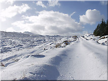  : Cold day in Glen Kinglas by Alan Pitkethley