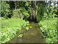 TQ0486 : River Misbourne in Denham Country Park by Nigel Cox