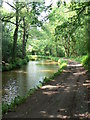 SO3003 : Mon & Brecon canal, near Mamhilad by Colin Madge