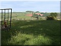 SX8870 : Meadow above Netherton by Derek Harper