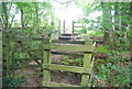 TQ5659 : Double kissing gates on the North Downs Way by N Chadwick