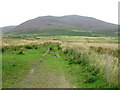 NT2060 : Path leading into the Pentlands by G Laird