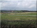 SX9686 : Exminster Marshes by Sarah Charlesworth