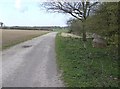 TM4283 : Footpath past Titsal Wood by Graham Horn