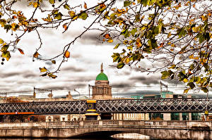 Bakgrundsbilder på skrivbordet Irland Bro Höst Dublin Grenar Lövverk Städer